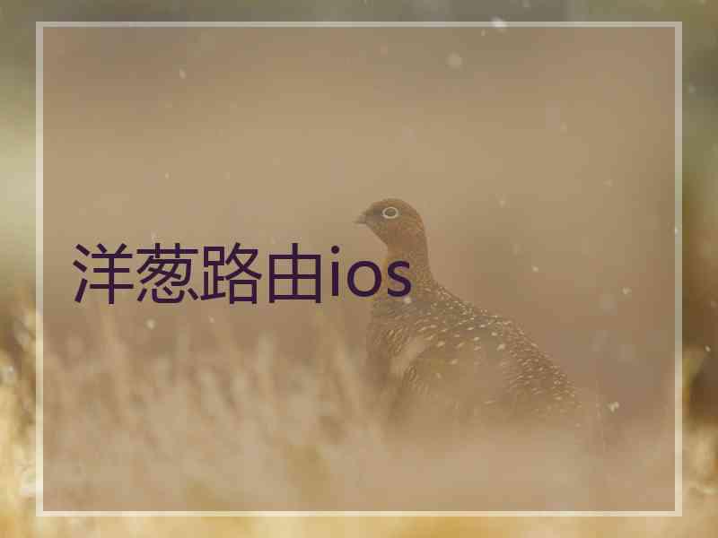 洋葱路由ios 洋葱路由ios