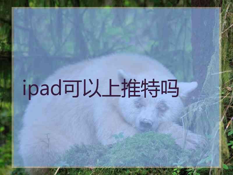ipad可以上推特吗 ipad可以上推特吗