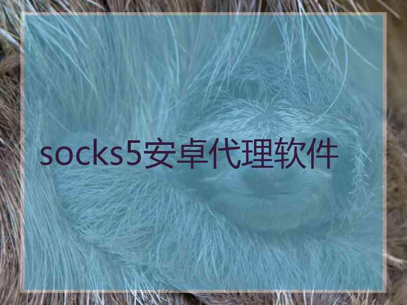 socks5安卓代理软件