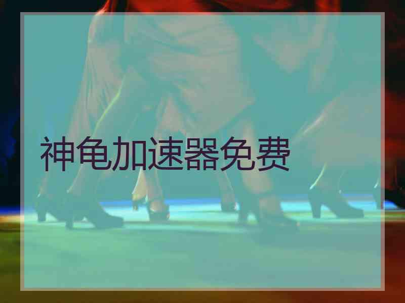 神龟加速器免费 神龟加速器免费