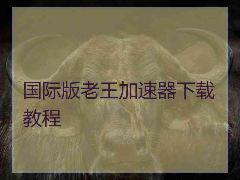国际版老王加速器下载教程 国际版老王加速器下载教程