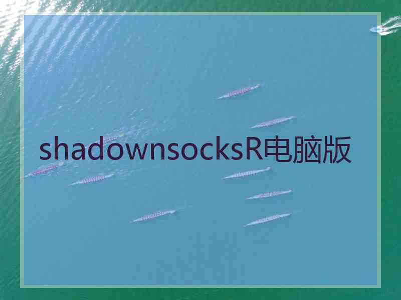 shadownsocksR电脑版