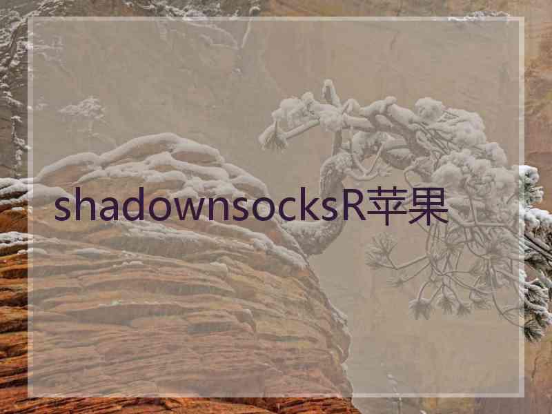 shadownsocksR苹果 shadownsocksR苹果