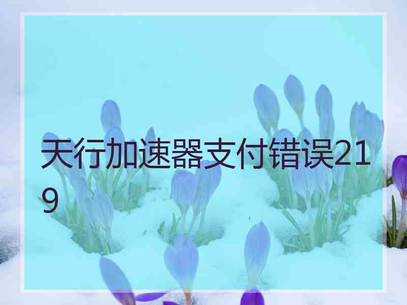 天行加速器支付错误219 天行加速器支付错误219