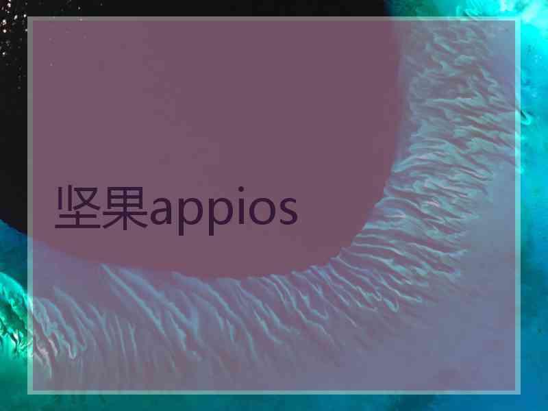坚果appios 坚果appios