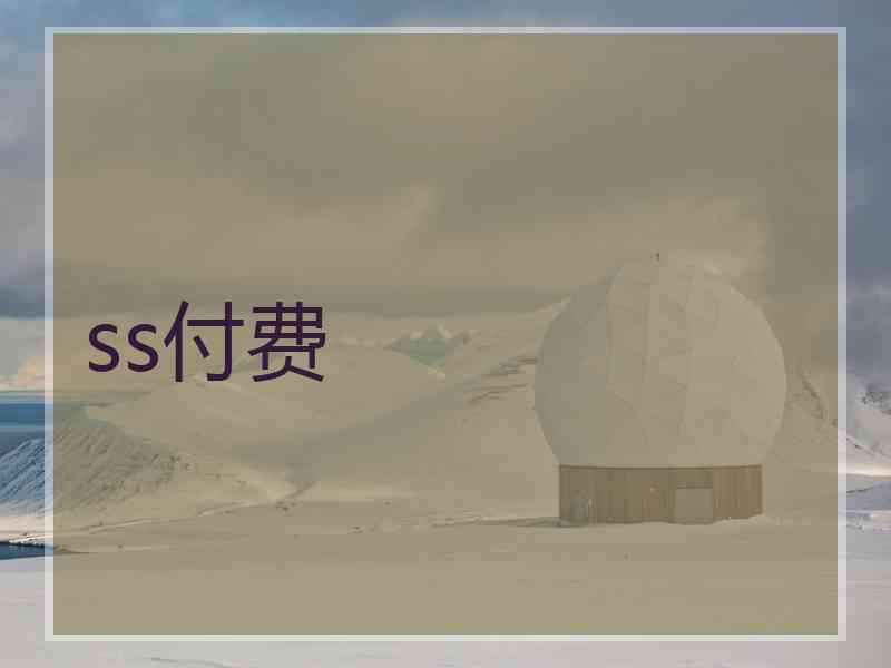 ss付费 ss付费
