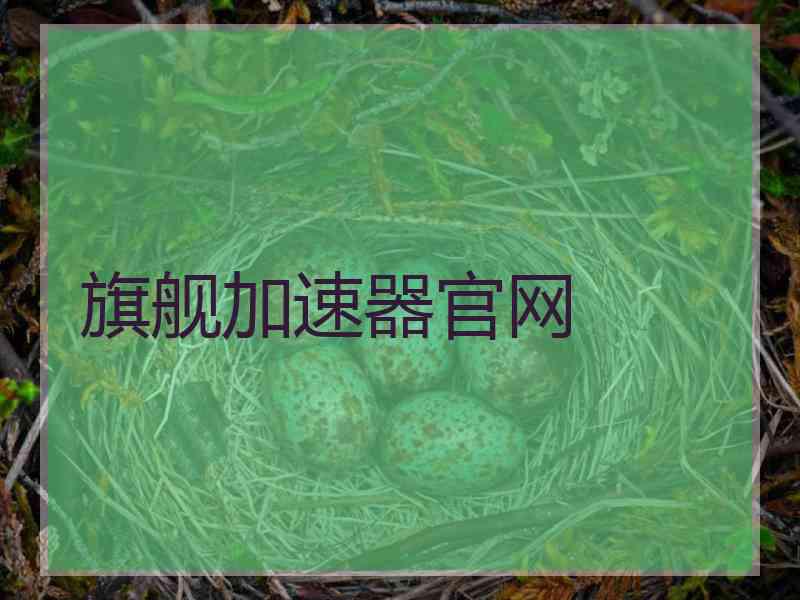 旗舰加速器官网 旗舰加速器官网