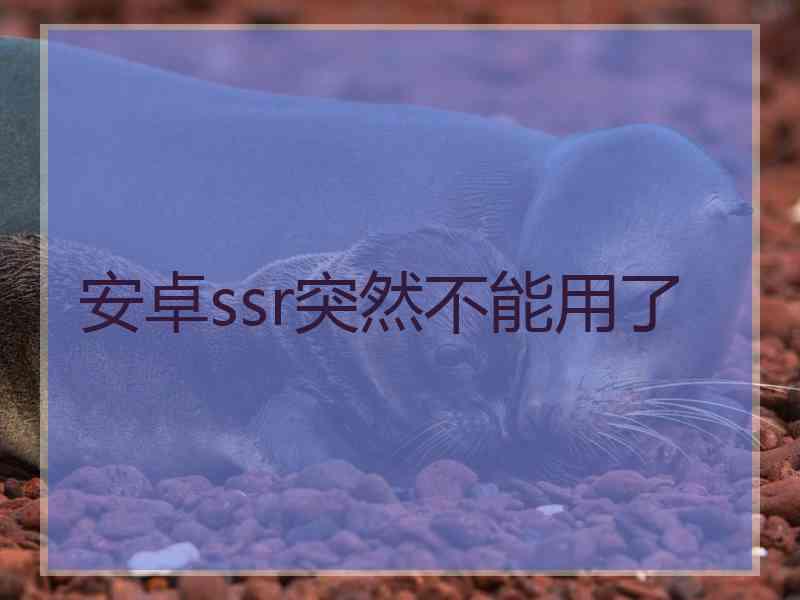 安卓ssr突然不能用了 安卓ssr突然不能用了