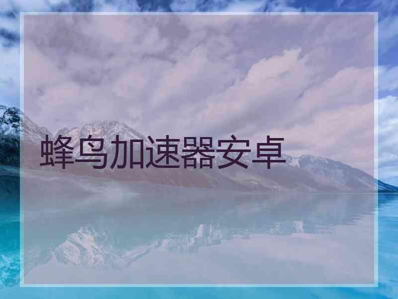 蜂鸟加速器安卓 蜂鸟加速器安卓