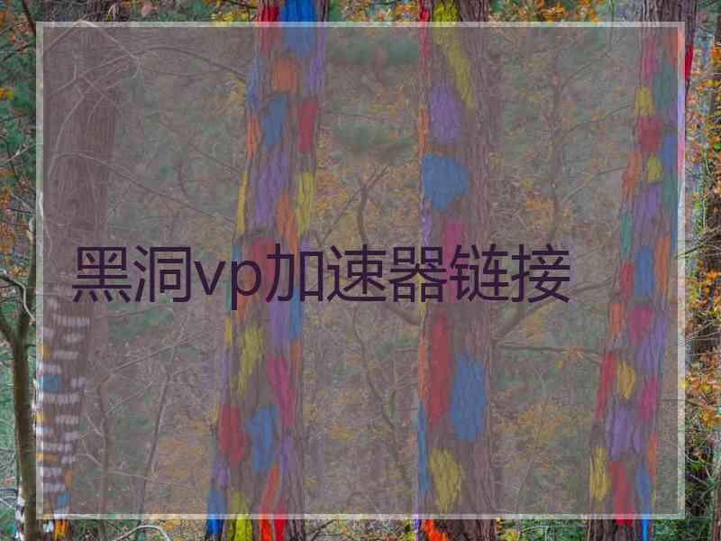 黑洞vp加速器链接 黑洞vp加速器链接