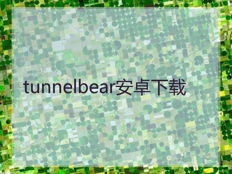 tunnelbear安卓下载