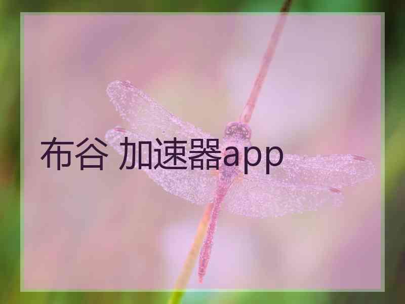 布谷 加速器app 布谷 加速器app