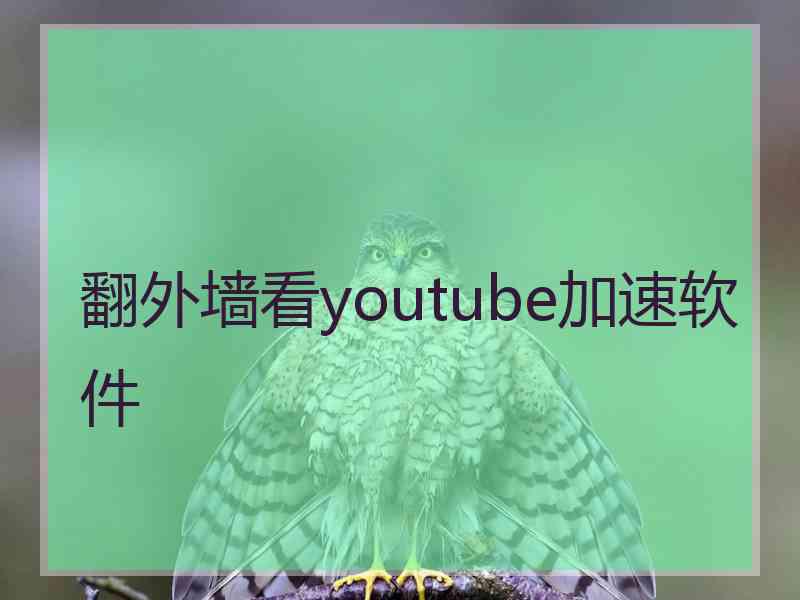 翻外墙看youtube加速软件 翻外墙看youtube加速软件