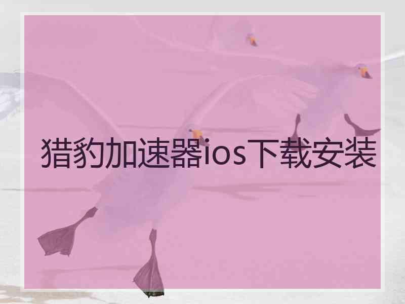 猎豹加速器ios下载安装 猎豹加速器ios下载安装
