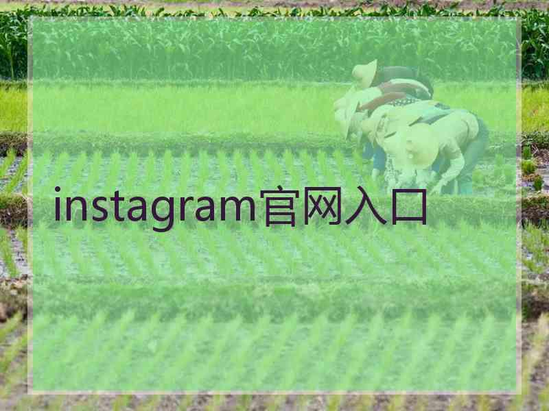 instagram官网入口
