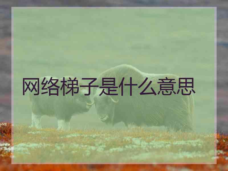 网络梯子是什么意思 网络梯子是什么意思