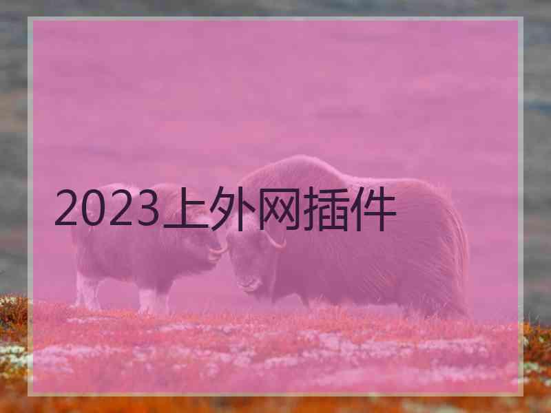 2023上外网插件 2023上外网插件