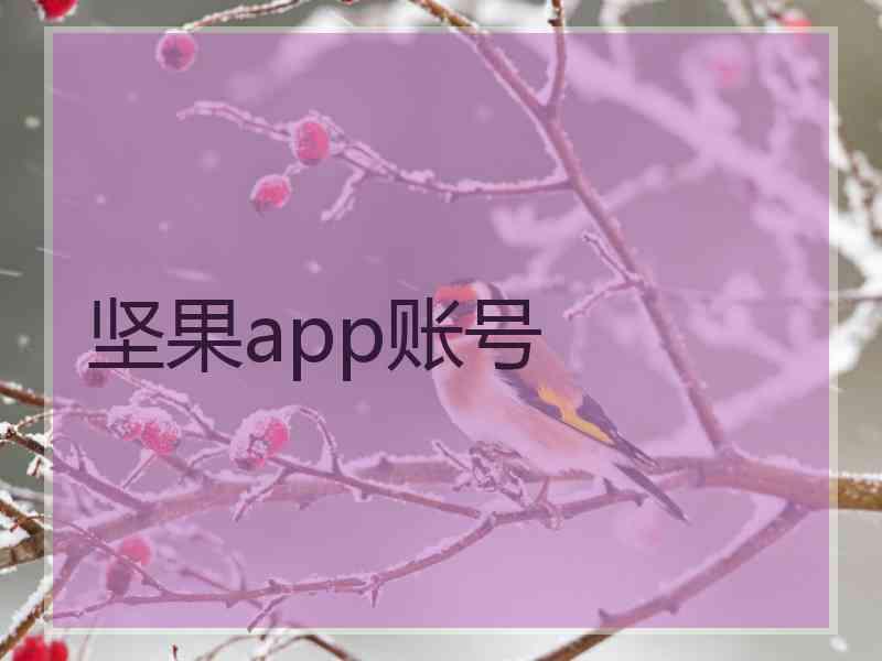 坚果app账号 坚果app账号