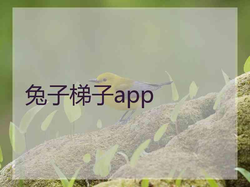 兔子梯子app 兔子梯子app