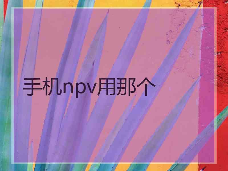 手机npv用那个 手机npv用那个