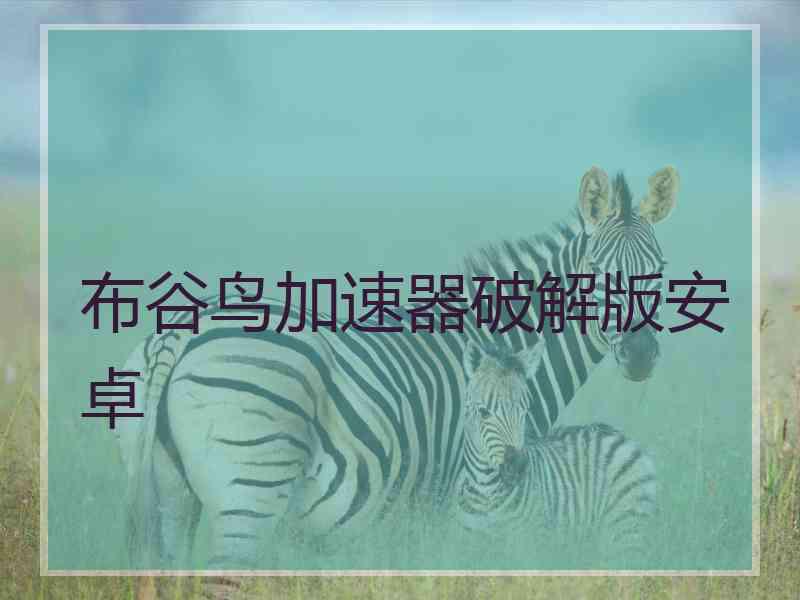 布谷鸟加速器破解版安卓 布谷鸟加速器破解版安卓