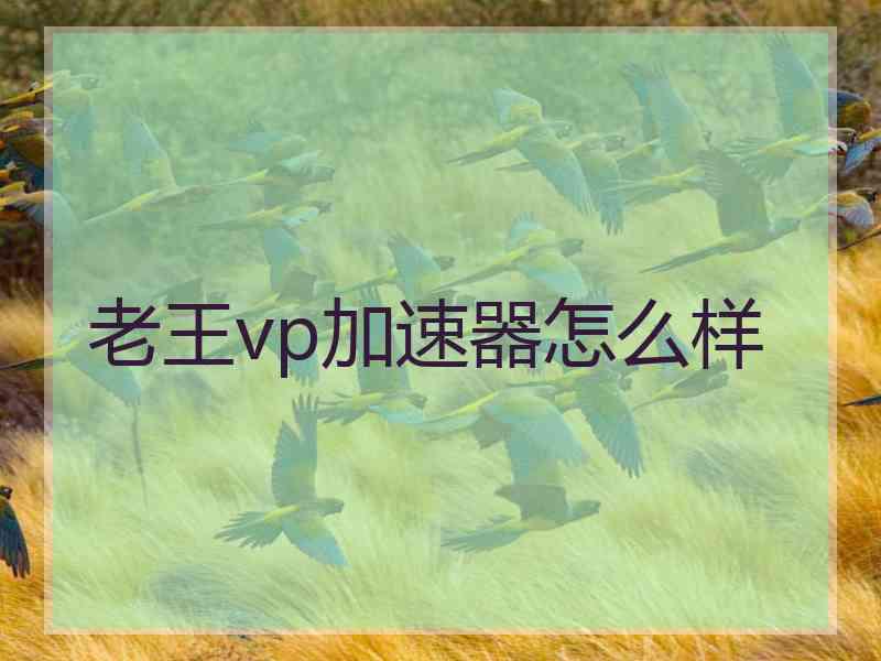 老王vp加速器怎么样 老王vp加速器怎么样