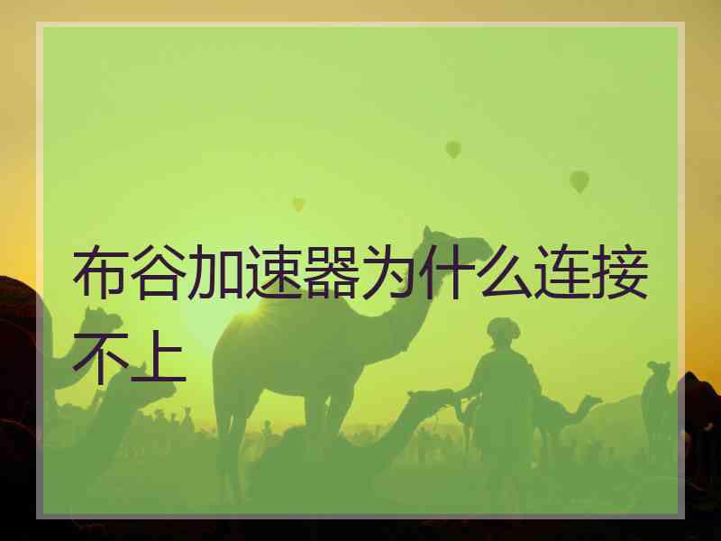 布谷加速器为什么连接不上 布谷加速器为什么连接不上