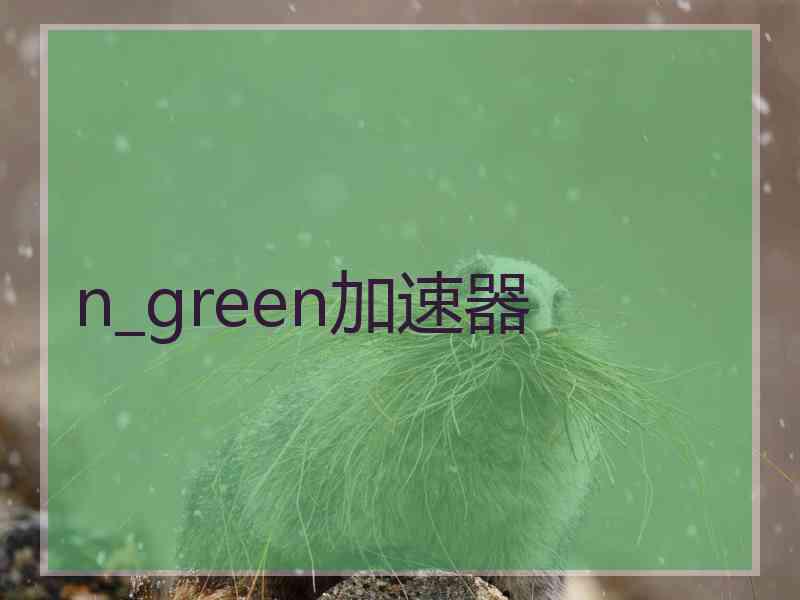 n_green加速器 n_green加速器
