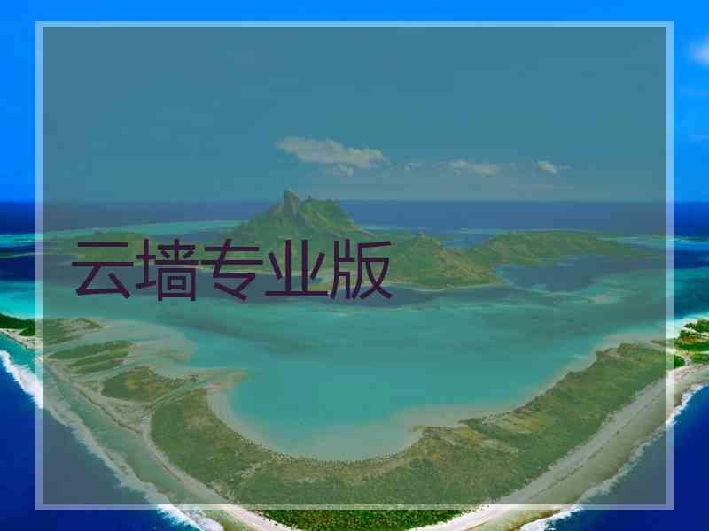 云墙专业版 云墙专业版