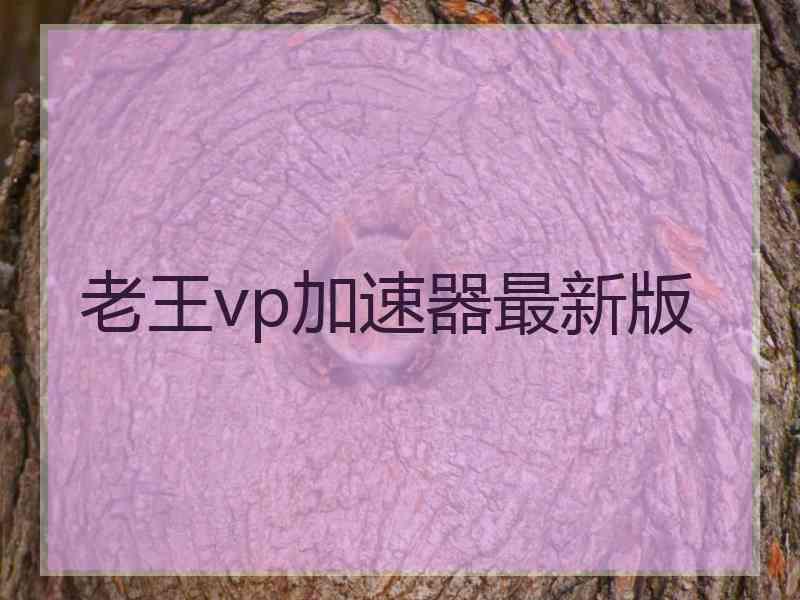 老王vp加速器最新版 老王vp加速器最新版