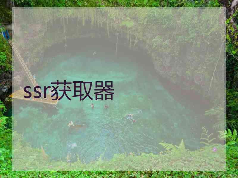 ssr获取器 ssr获取器