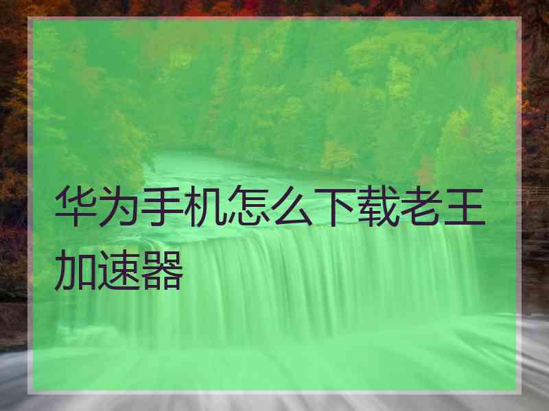 华为手机怎么下载老王加速器 华为手机怎么下载老王加速器
