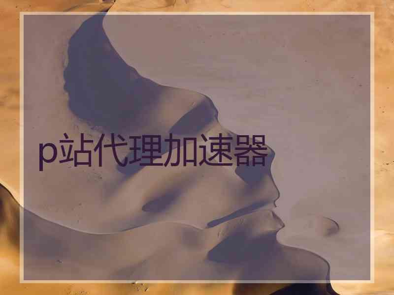 p站代理加速器 p站代理加速器