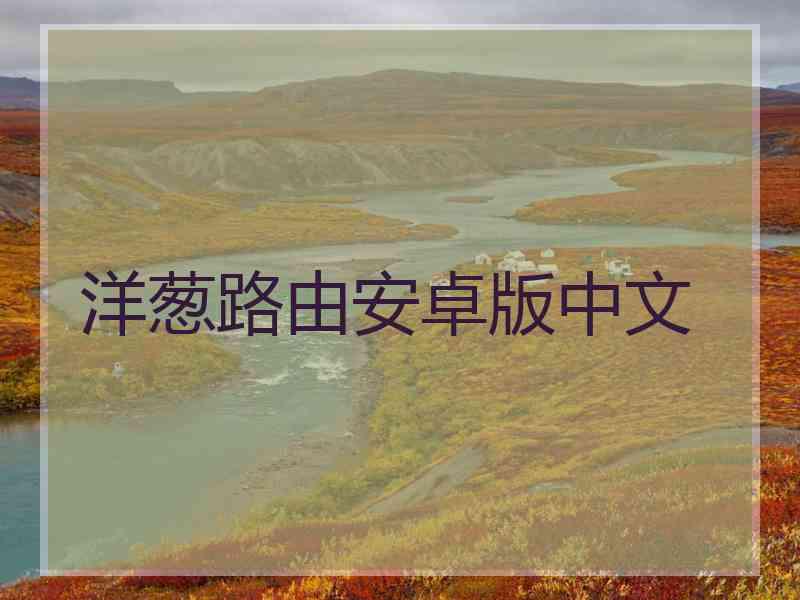 洋葱路由安卓版中文 洋葱路由安卓版中文