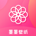 一天买的加速器