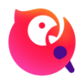 ssr不能用了2023