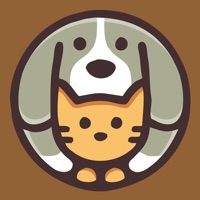梯子软件用法