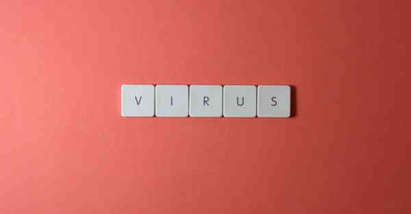 类似老王vp加速器