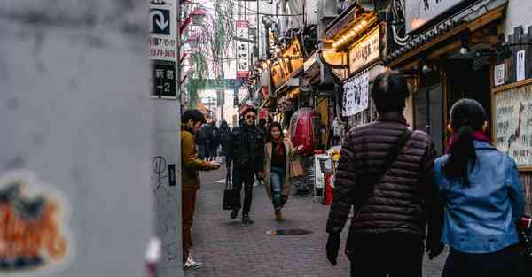 电脑如何翻外网
