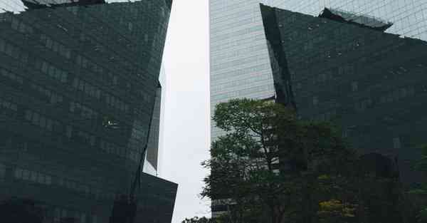 小米8如何浏览外网