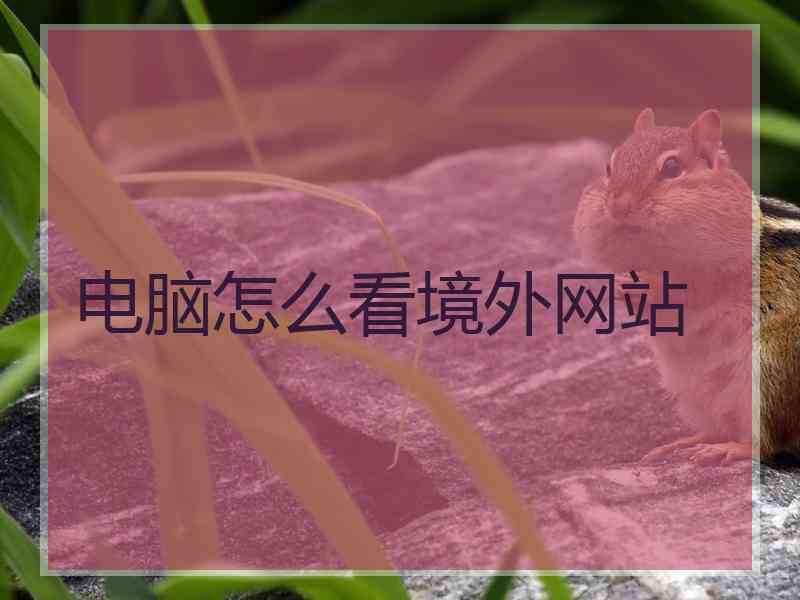 电脑怎么看境外网站