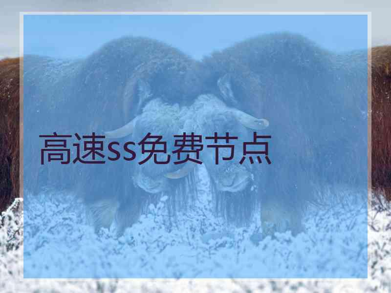 高速ss免费节点