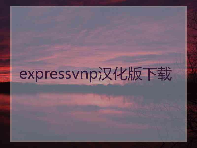 expressvnp汉化版下载