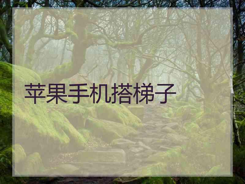 苹果手机搭梯子