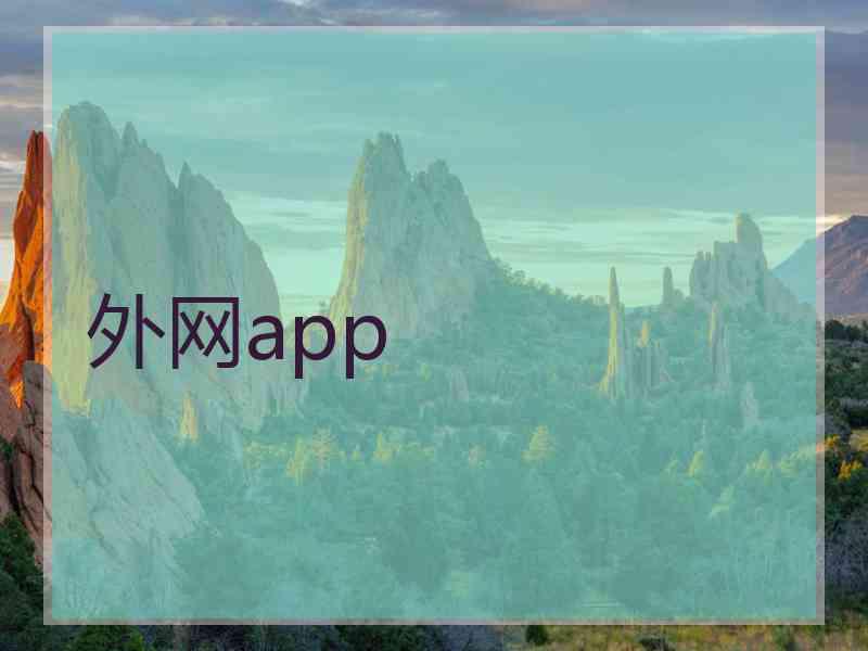 外网app