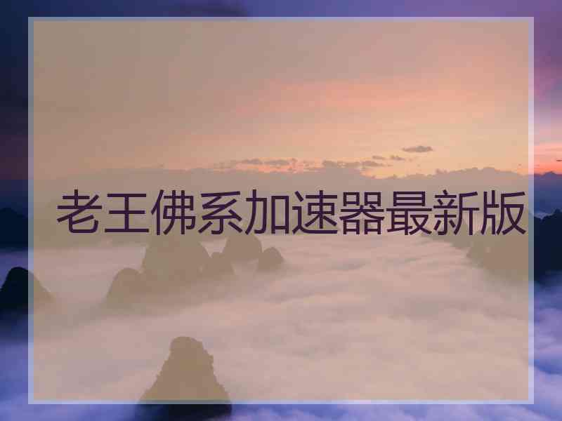 老王佛系加速器最新版