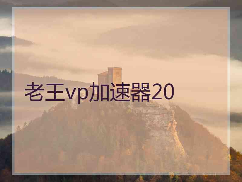 老王vp加速器20