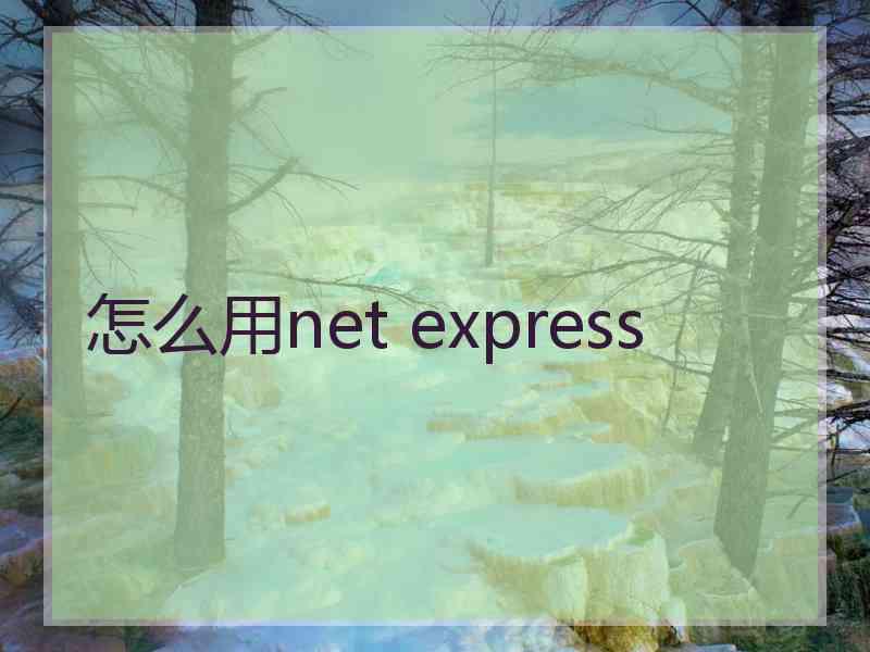 怎么用net express