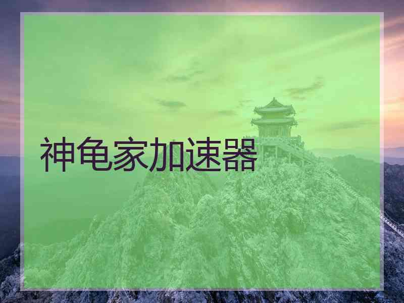 神龟家加速器