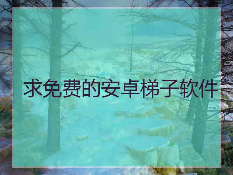求免费的安卓梯子软件